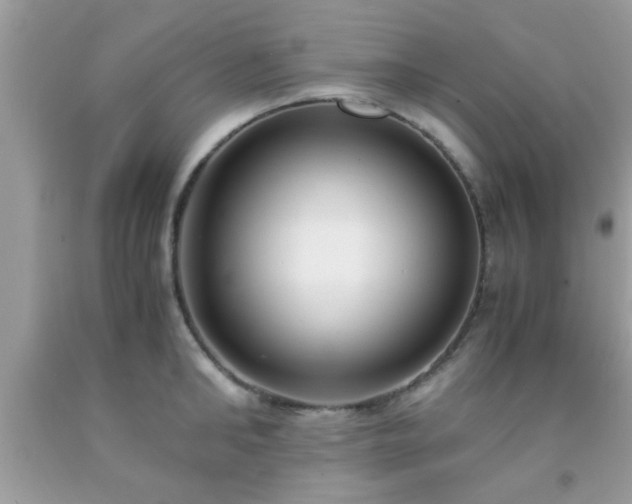 X0000093750902200710231230