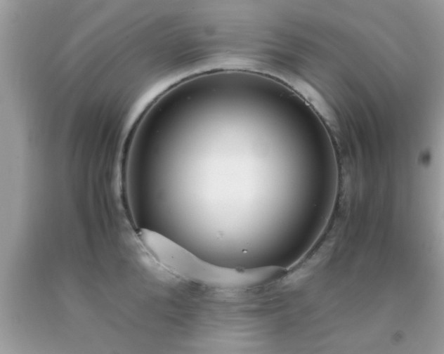 X0000093750904200710231230