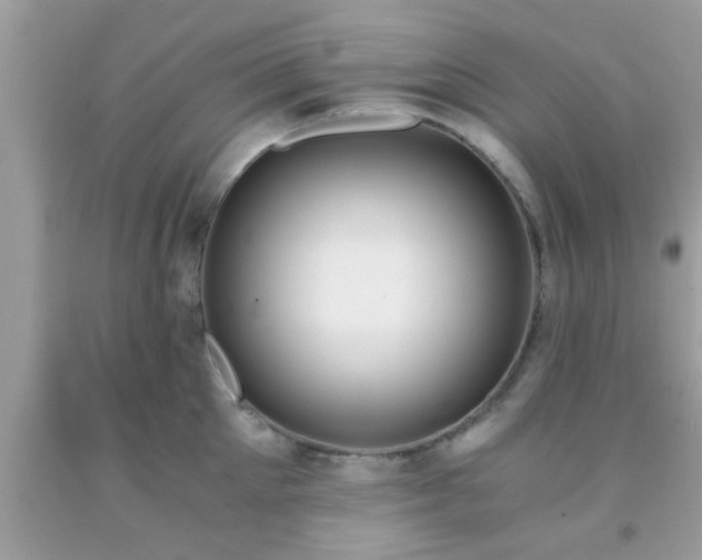X0000093750905200710231230