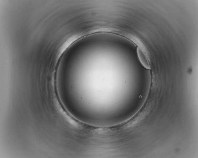 X0000093750906200710231230