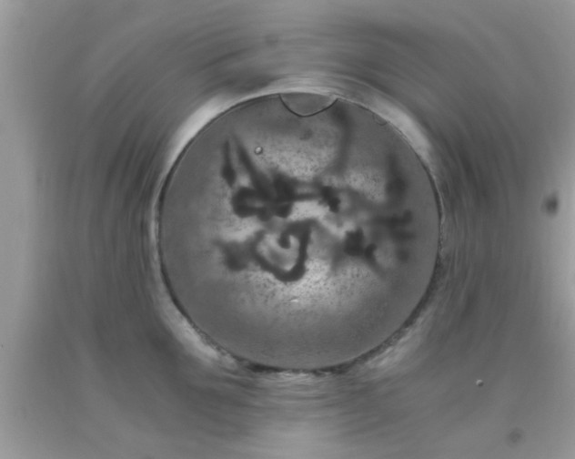 X0000093750907200710231230