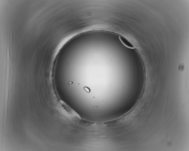 X0000093750912200710231229