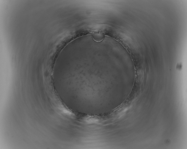 X0000093750913200710231229