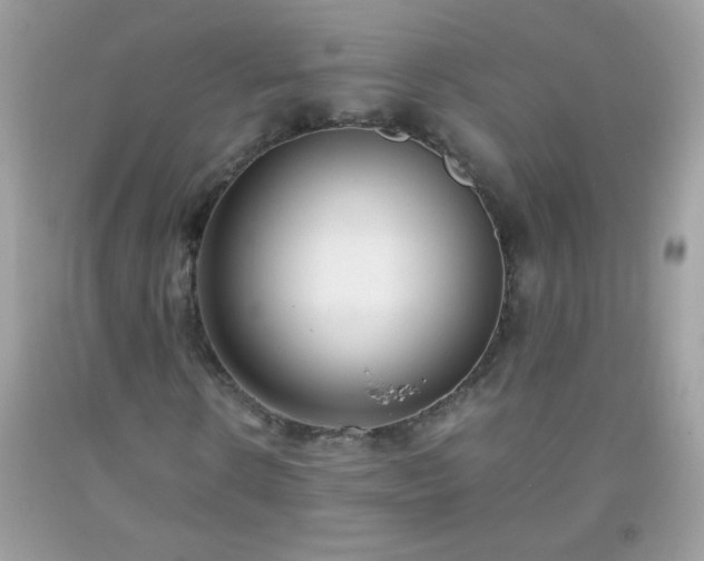 X0000093750914200710231229