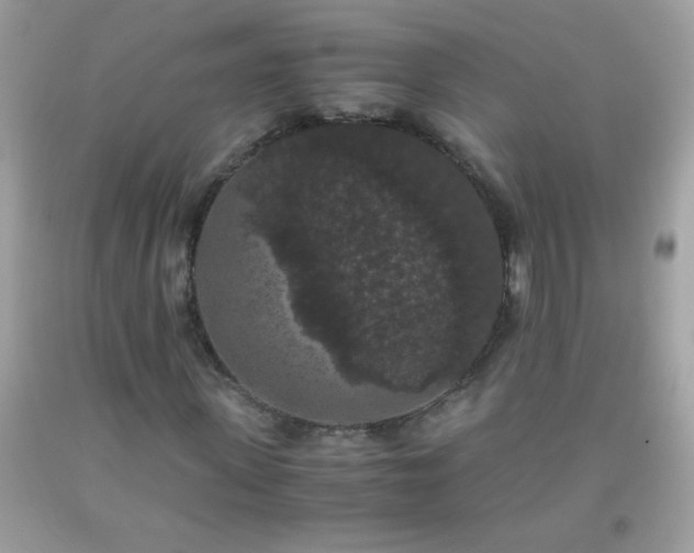 X0000093750915200710231229