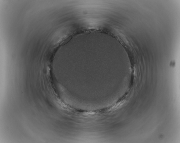 X0000093750916200710231229