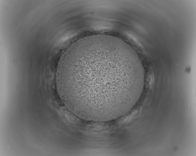 X0000093750917200710231229