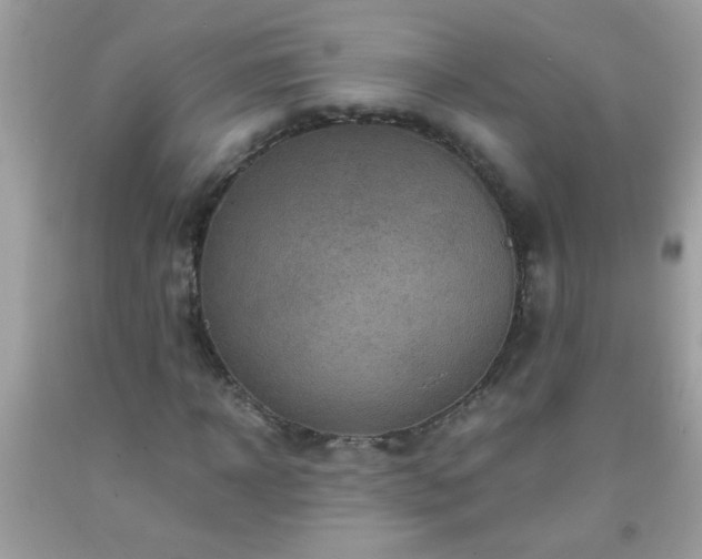 X0000093750918200710231229