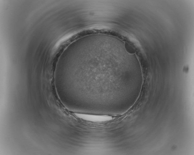 X0000093750920200710231229