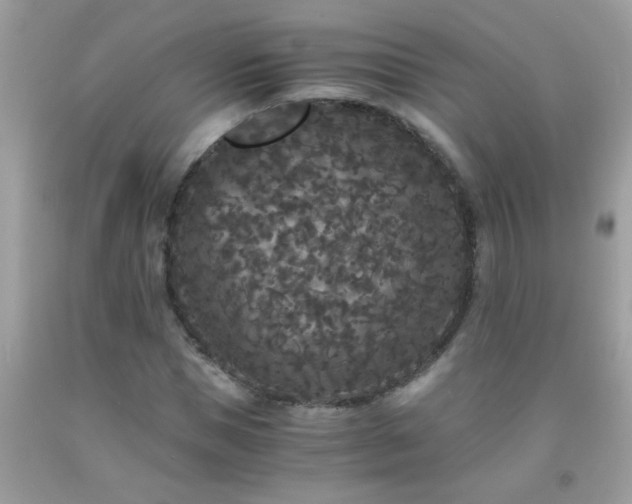 X0000093750921200710231229