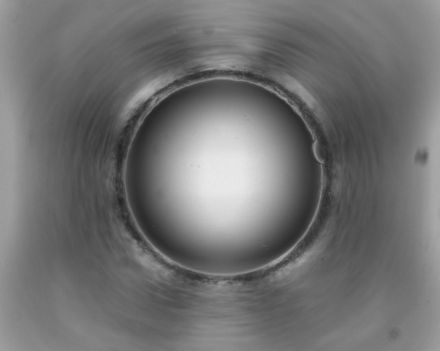 X0000093750922200710231229