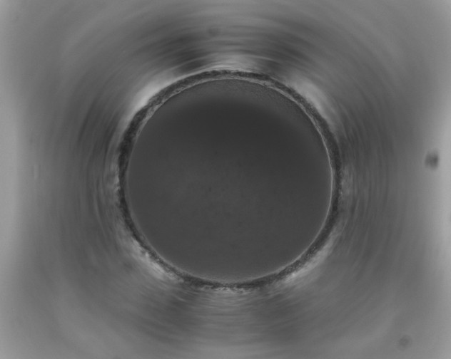 X0000093750923200710231229