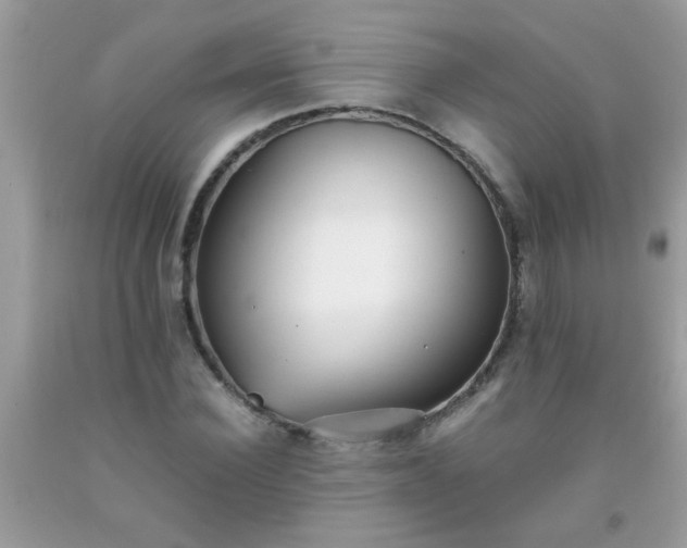 X0000093750924200710231229