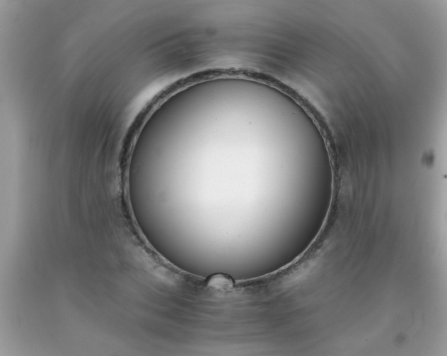 X0000093750927200710231229