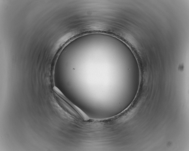 X0000093750930200710231229