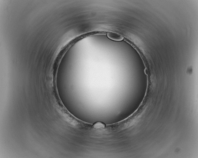 X0000093750931200710231229