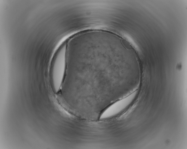 X0000093750932200710231229