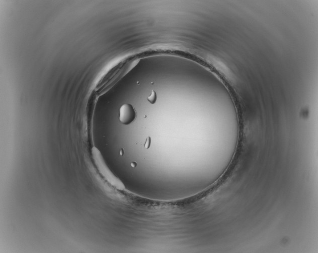 X0000093750934200710231229