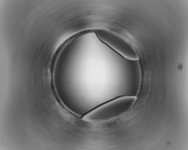X0000093750936200710231229