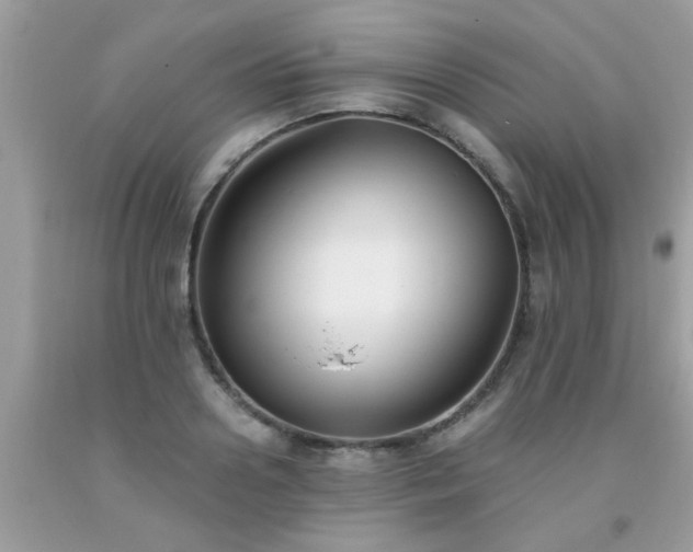 X0000093750938200710231229