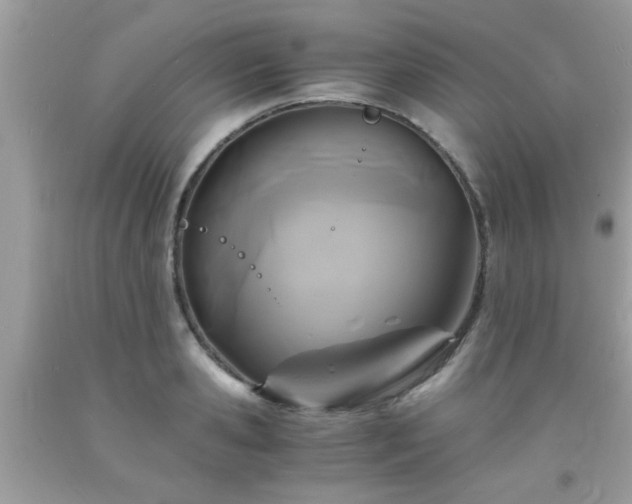 X0000093750941200710231229