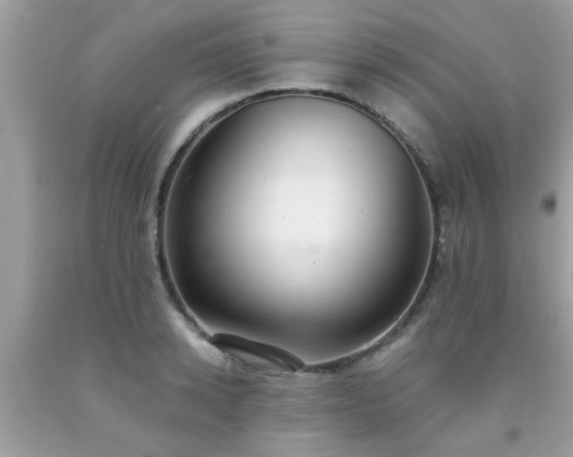 X0000093750942200710231229