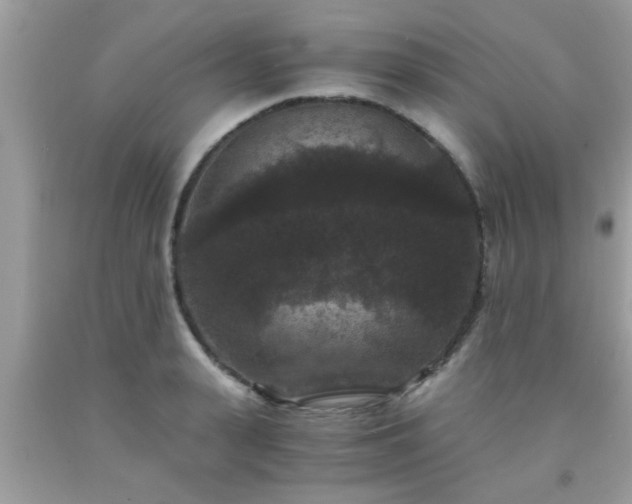 X0000093750943200710231229