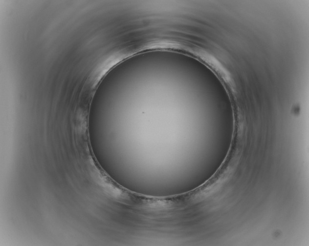 X0000093750945200710231229
