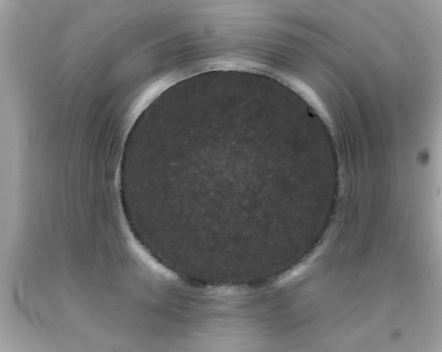 X0000093750946200710231229