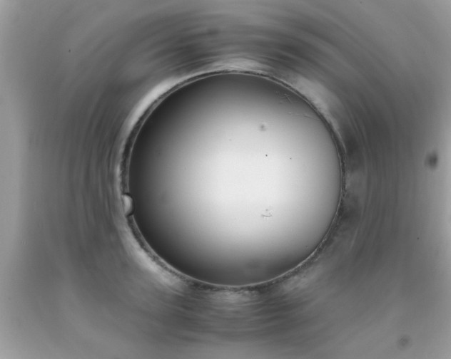 X0000093750947200710231229