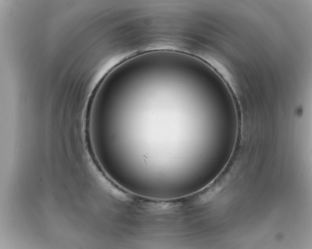 X0000093750949200710231229
