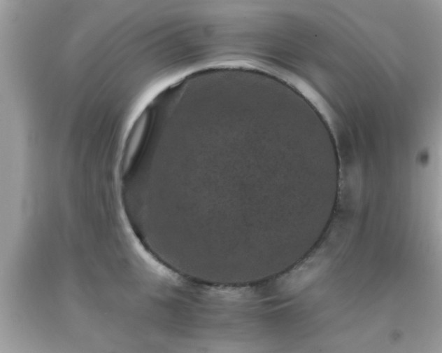 X0000093750951200710231229