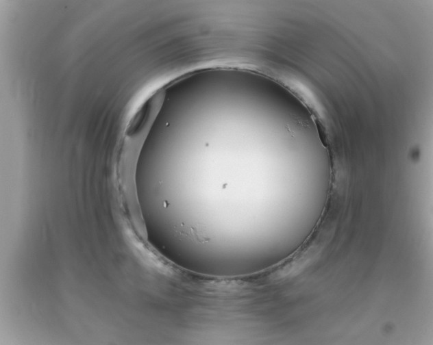 X0000093750952200710231229