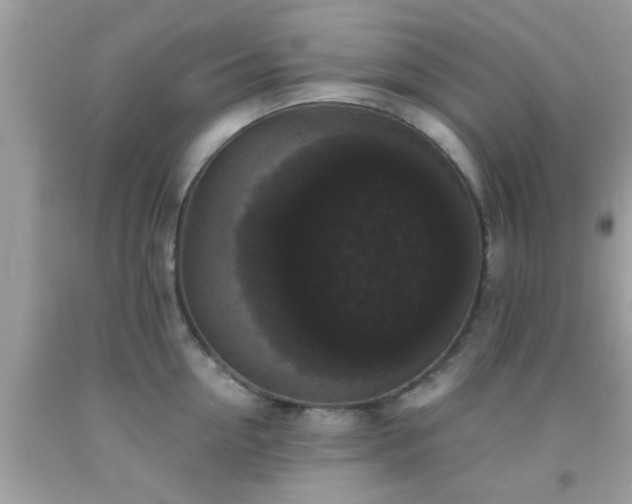 X0000093750954200710231229
