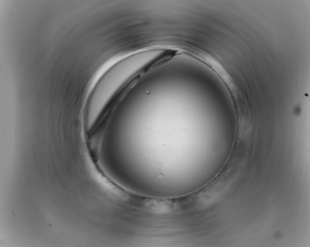 X0000093750955200710231229