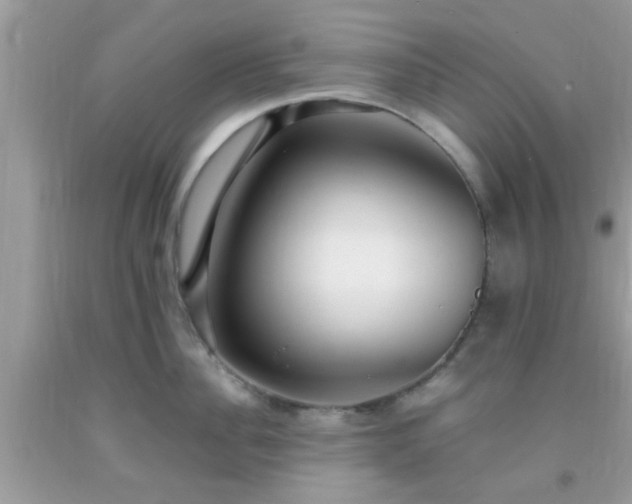 X0000093750956200710231229
