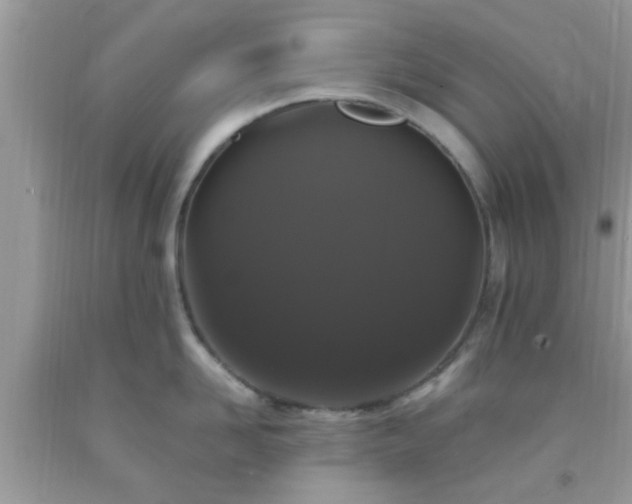 X0000093750958200710231229