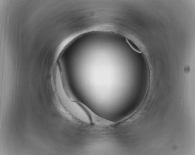 X0000093750960200710231229