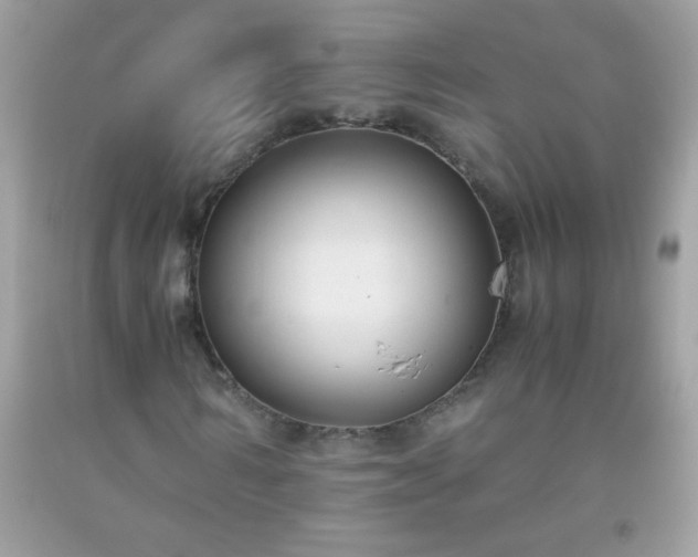 X0000093750962200710231229