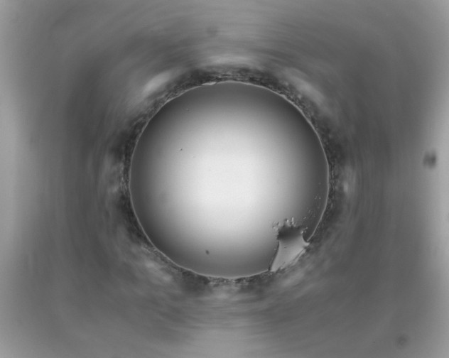 X0000093750965200710231229