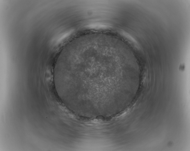 X0000093750966200710231229