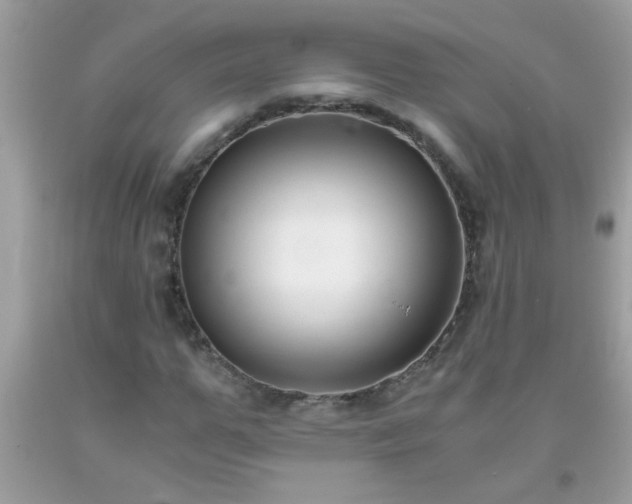 X0000093750967200710231229