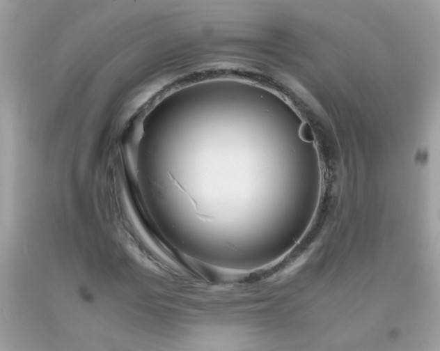 X0000093750969200710231229