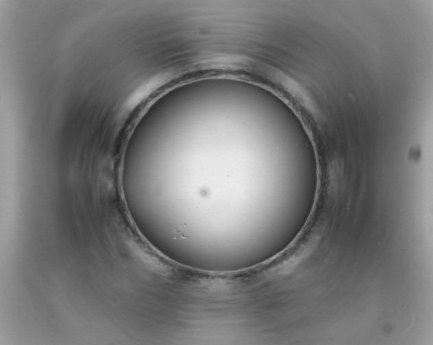 X0000093750970200710231229