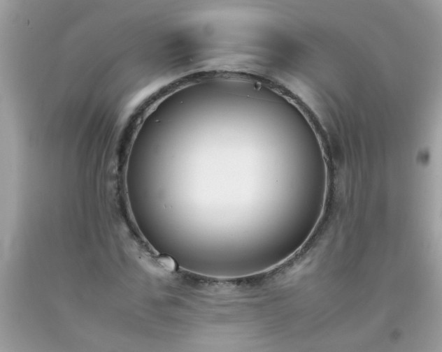 X0000093750971200710231229