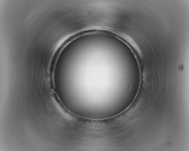 X0000093750972200710231229