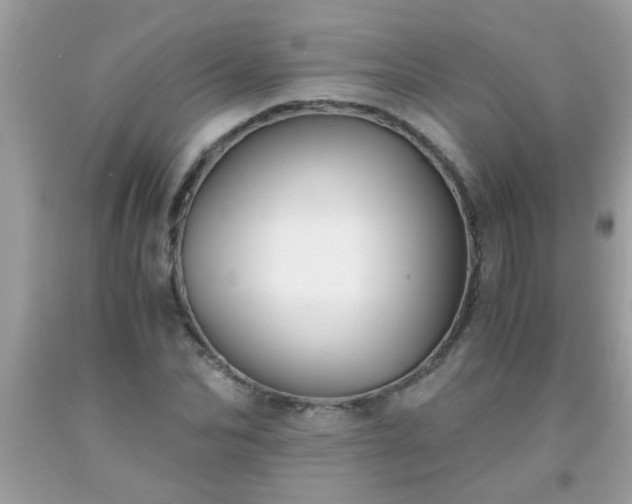 X0000093750974200710231229