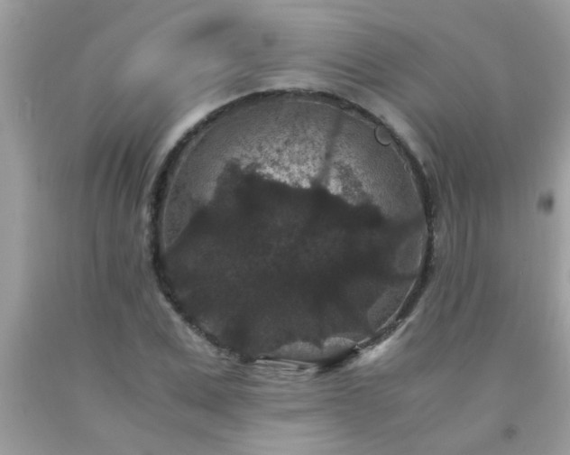 X0000093750975200710231229