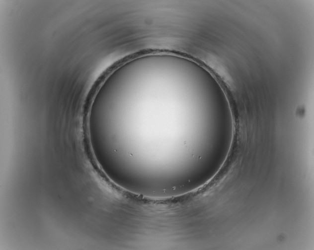 X0000093750976200710231229