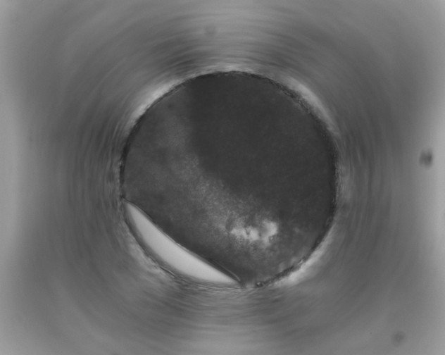X0000093750977200710231229